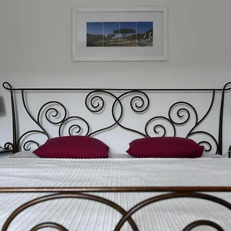 Stone Dalmatian House Modern, Stylish With Pool Feriehus *