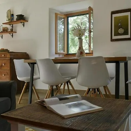 Stone Dalmatian House Modern, Stylish With Pool