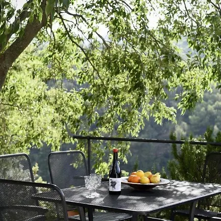 Stone Dalmatian House Modern, Stylish With Pool Dom wakacyjny